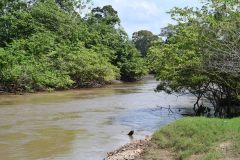 The Darien region occupies 13  of the territories of Panama.