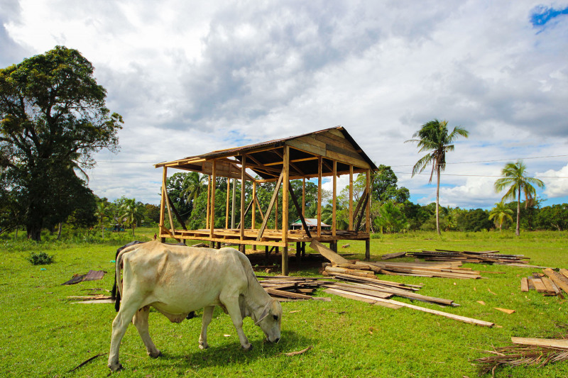 Hurricane damage in the Kuiwitingny community.