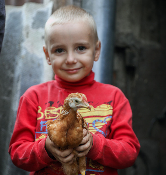 boywithchicken