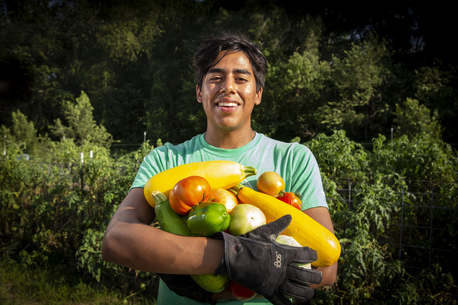 Young man holding vegetables Young man holding vegetables