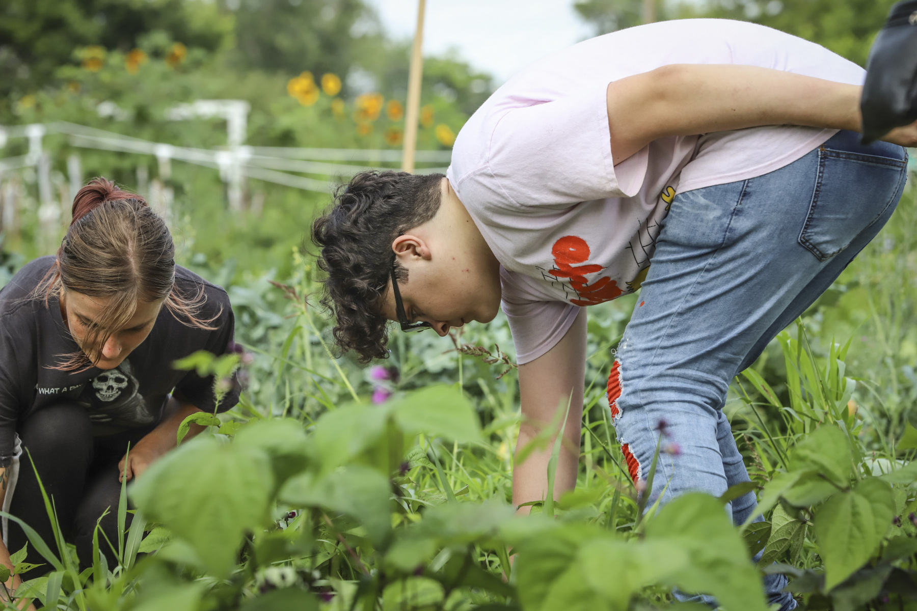 Two volunteers working in the community garden Two volunteers working in the community garden