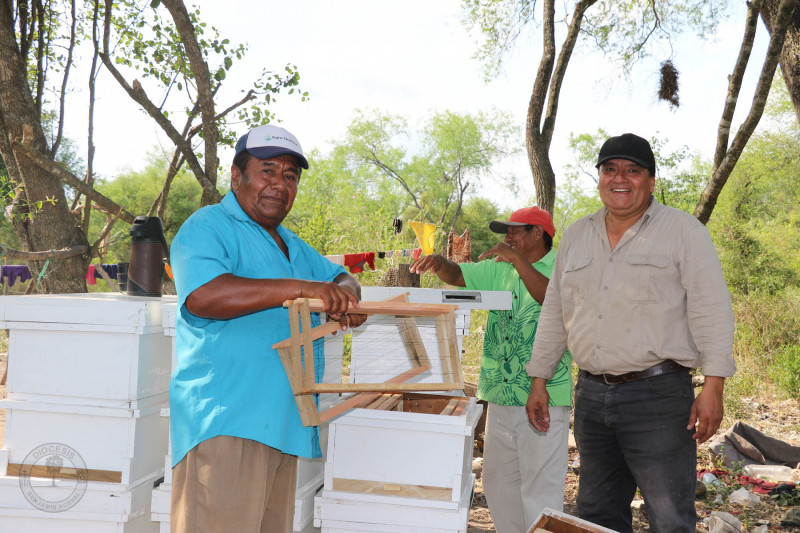 Beekeeping in Paraguay