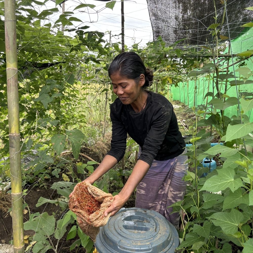 Featured image for “From Activism to Agriculture: One Mother’s Path to Safety and Self‑Reliance”