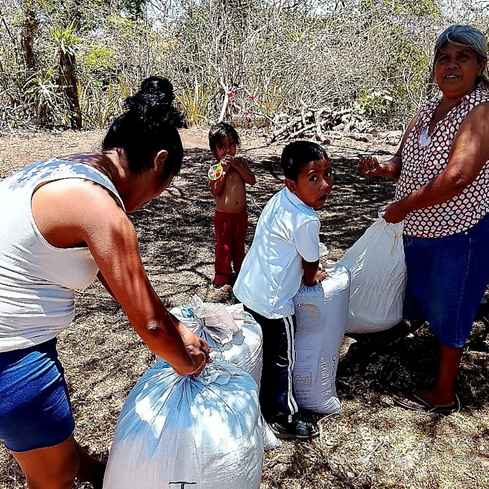 Featured image for ““I Feel in Control of My Future”: How Families in Nicaragua Are Building Resilience Through Farming and Savings”