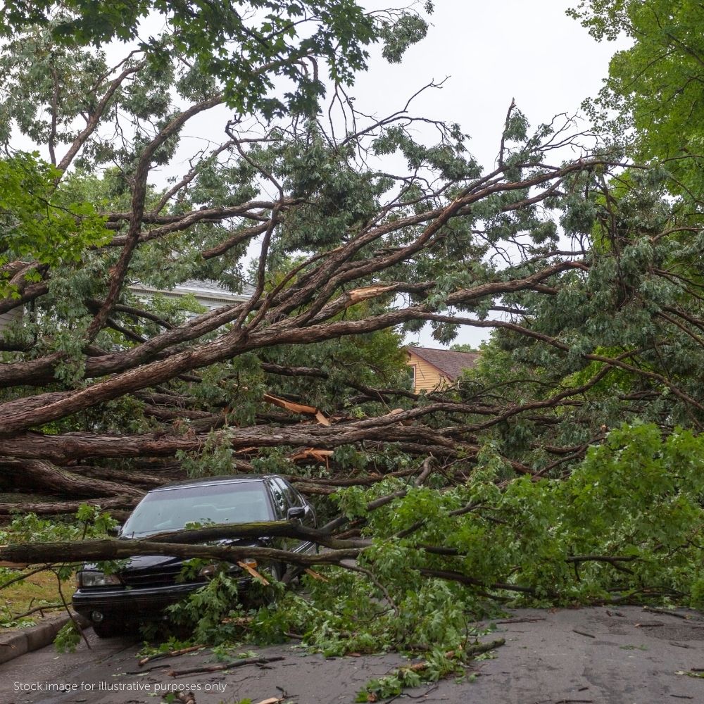 Featured image for “National Preparedness Month: Why Disaster Preparedness Matters More Than Ever”